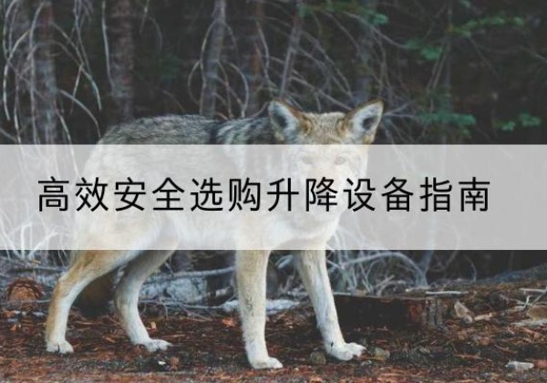 郊区升降货梯厂家推荐-*安全选购升降设备指南